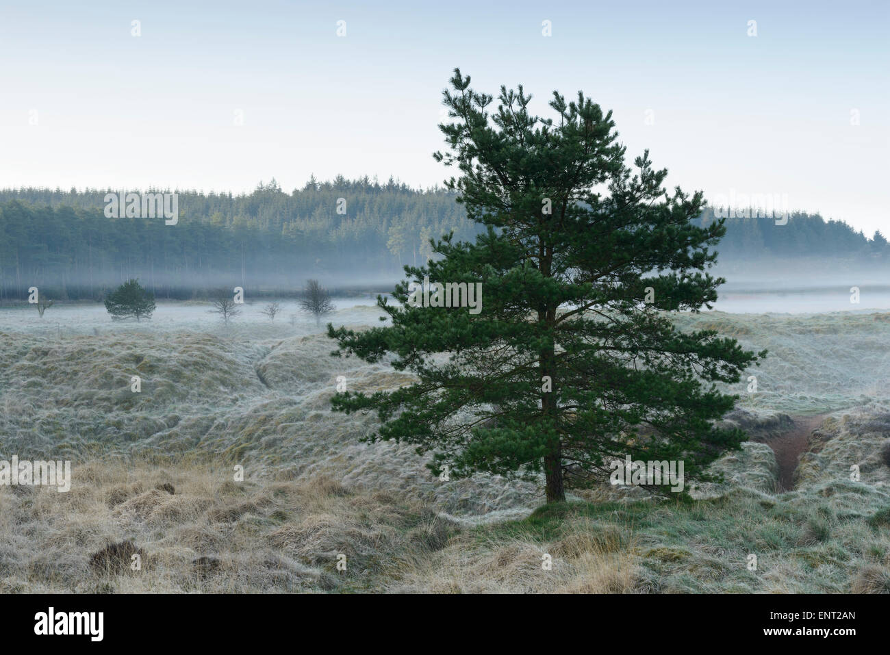 Vista nebbiosa del paesaggio a Priddy Mineries in Mendip Hills, Somerset. Foto Stock