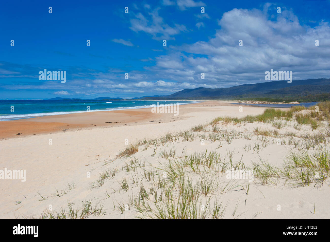 Spiaggia sulla costa est della Tasmania Foto Stock