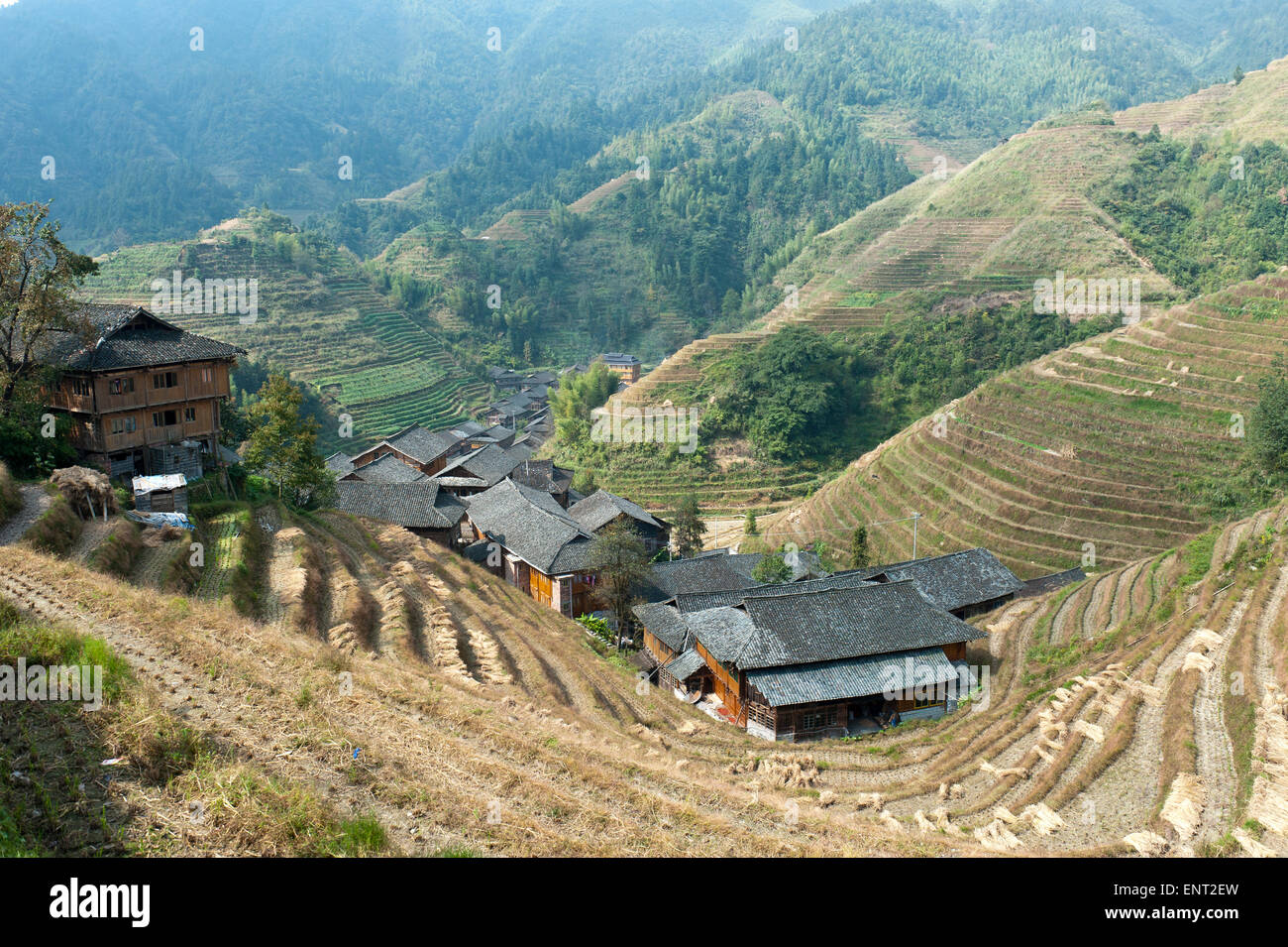 Longsheng terrazze di riso, Zhongliu village, Ping An, vicino a Guilin, Guangxi Regione autonoma, Cina Foto Stock