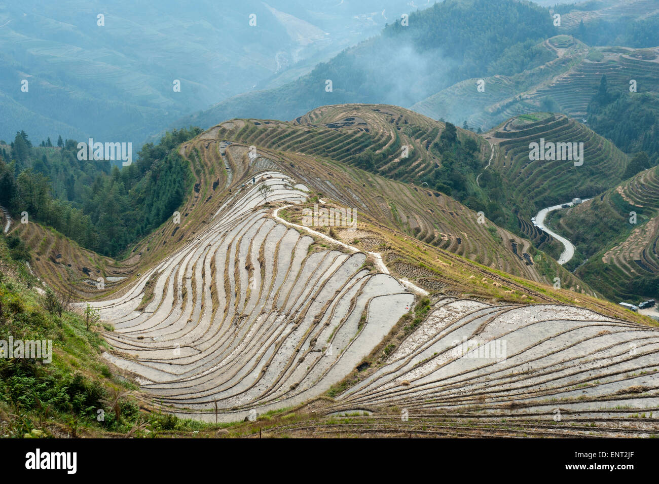 Longsheng terrazze di riso, Longji campi terrazzati, vicino a Guilin, Guangxi Regione autonoma, Cina Foto Stock