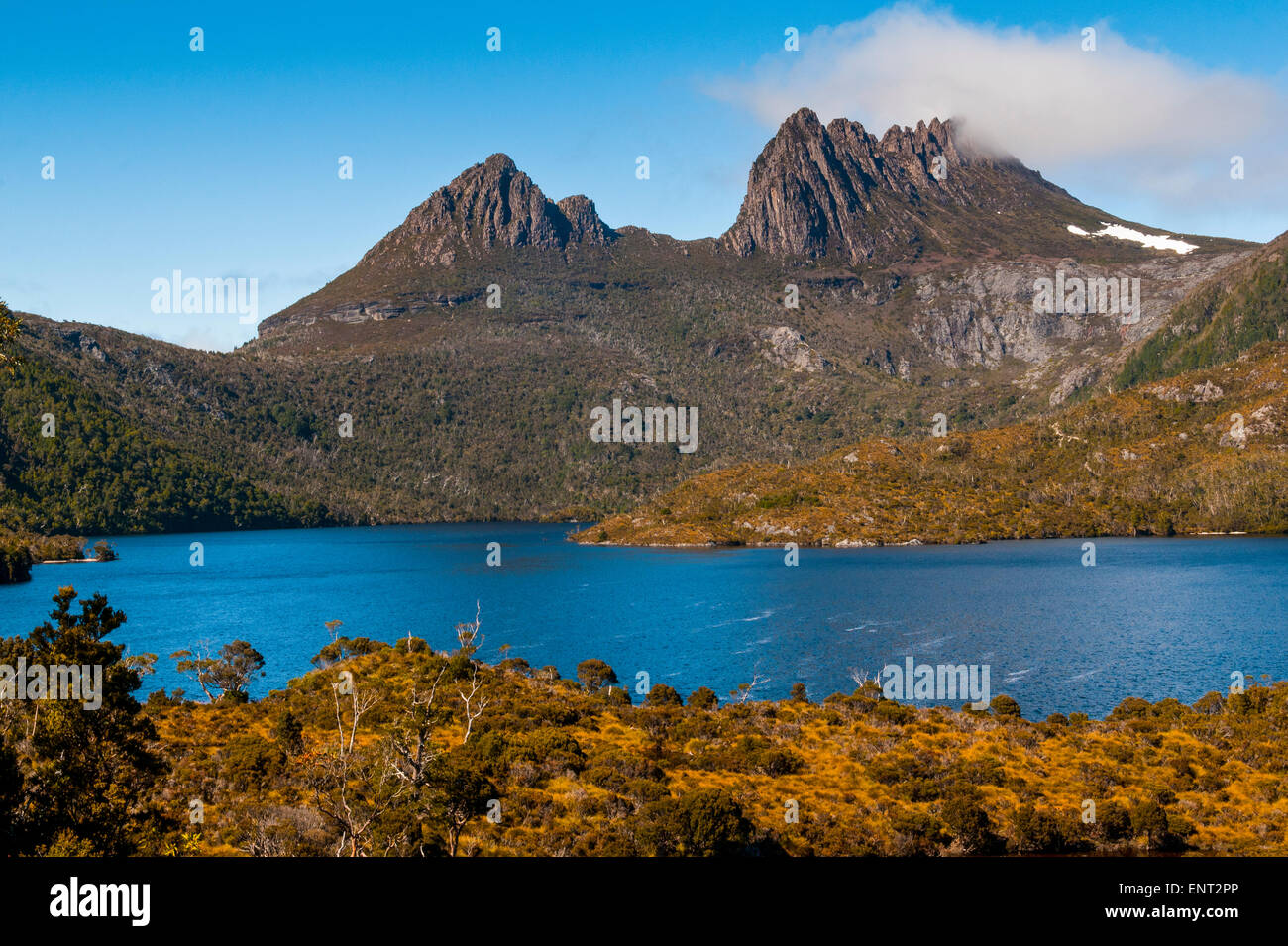 Lago di colomba e Cradle Mountain, Tasmania Foto Stock