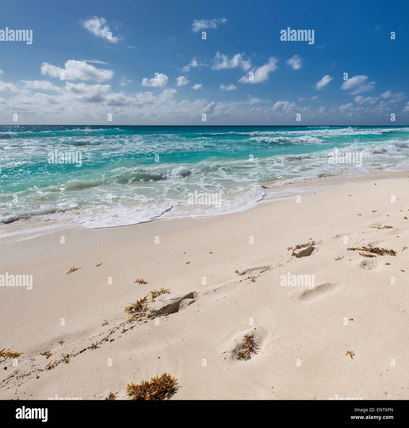 Orme sulla sabbia della spiaggia caraibica Foto Stock