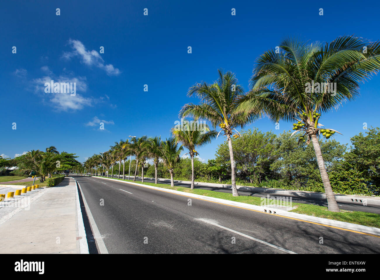 Caraibi strada con palme Foto Stock