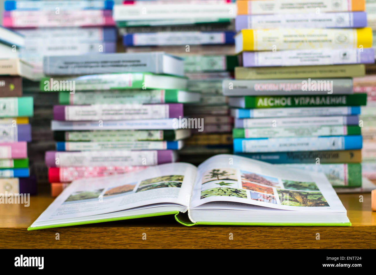 Una ragazza sono trasportano informazioni sulle pile di libri e chiedendo circa i buoni contrassegni Foto Stock