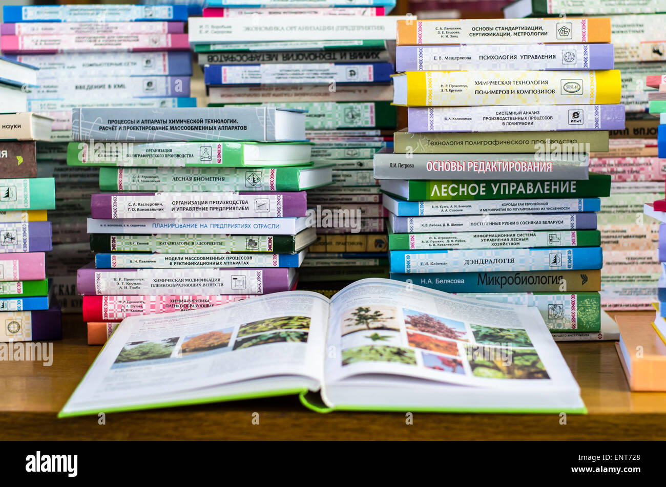 Una ragazza sono trasportano informazioni sulle pile di libri e chiedendo circa i buoni contrassegni Foto Stock