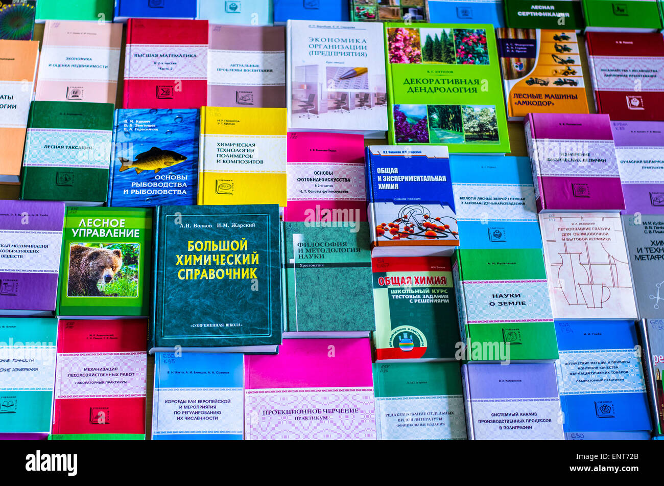 Una ragazza sono trasportano informazioni sulle pile di libri e chiedendo circa i buoni contrassegni Foto Stock