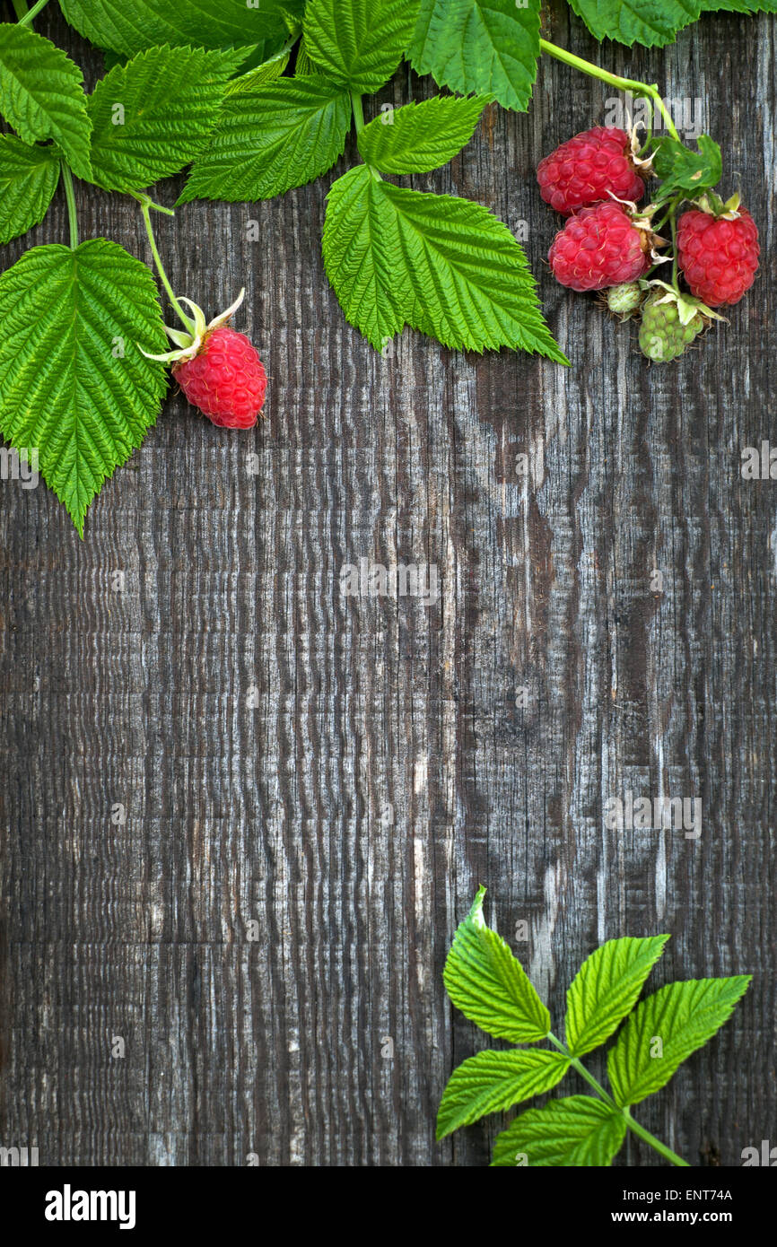 Vecchia scheda di legno decorate lampone e foglie Foto Stock