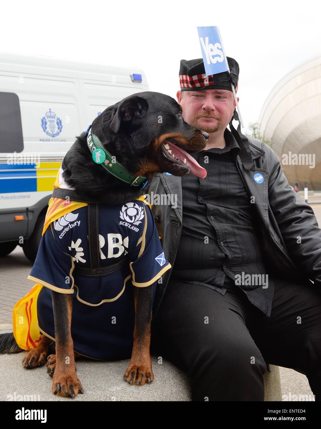 Uomo scozzese di supporto di un voto positivo durante il referendum. Il suo cane è anche vestito in colori scozzese. Foto Stock