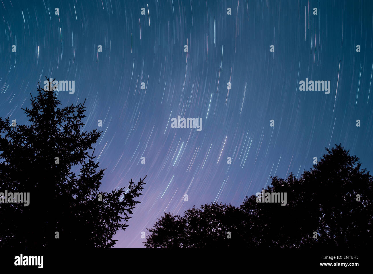 Sentiero di stelle nel cielo notturno di Galloway Forest Park, Scotland, Regno Unito Foto Stock
