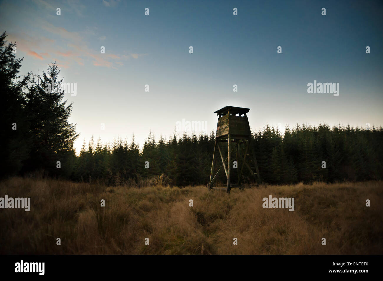 Nascondiglio per la caccia nella Galloway Forest, Scozia, Regno Unito Foto Stock