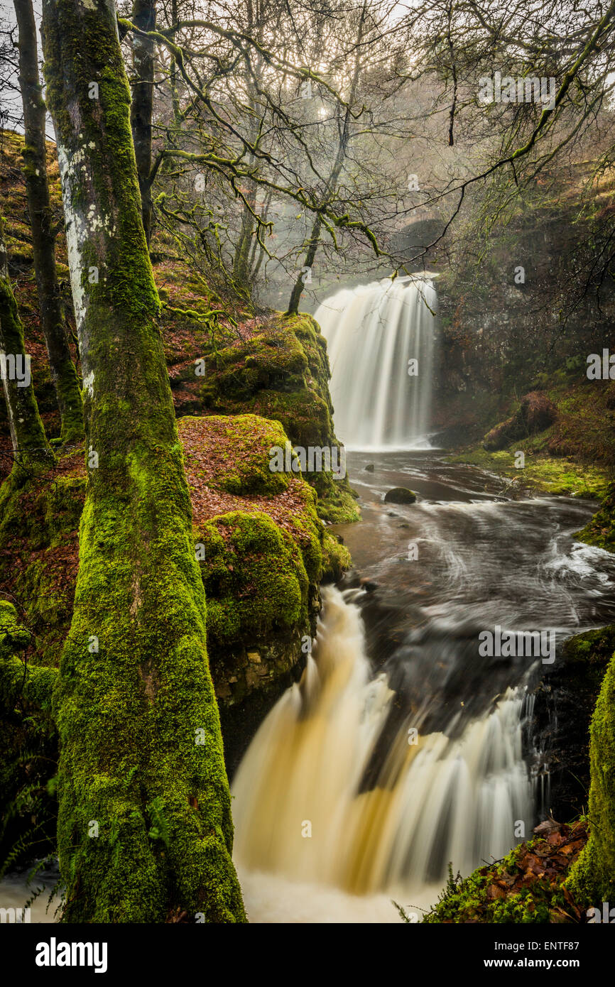 Dalcairney cade la cascata, Ayrshire, in Scozia, Regno Unito Foto Stock