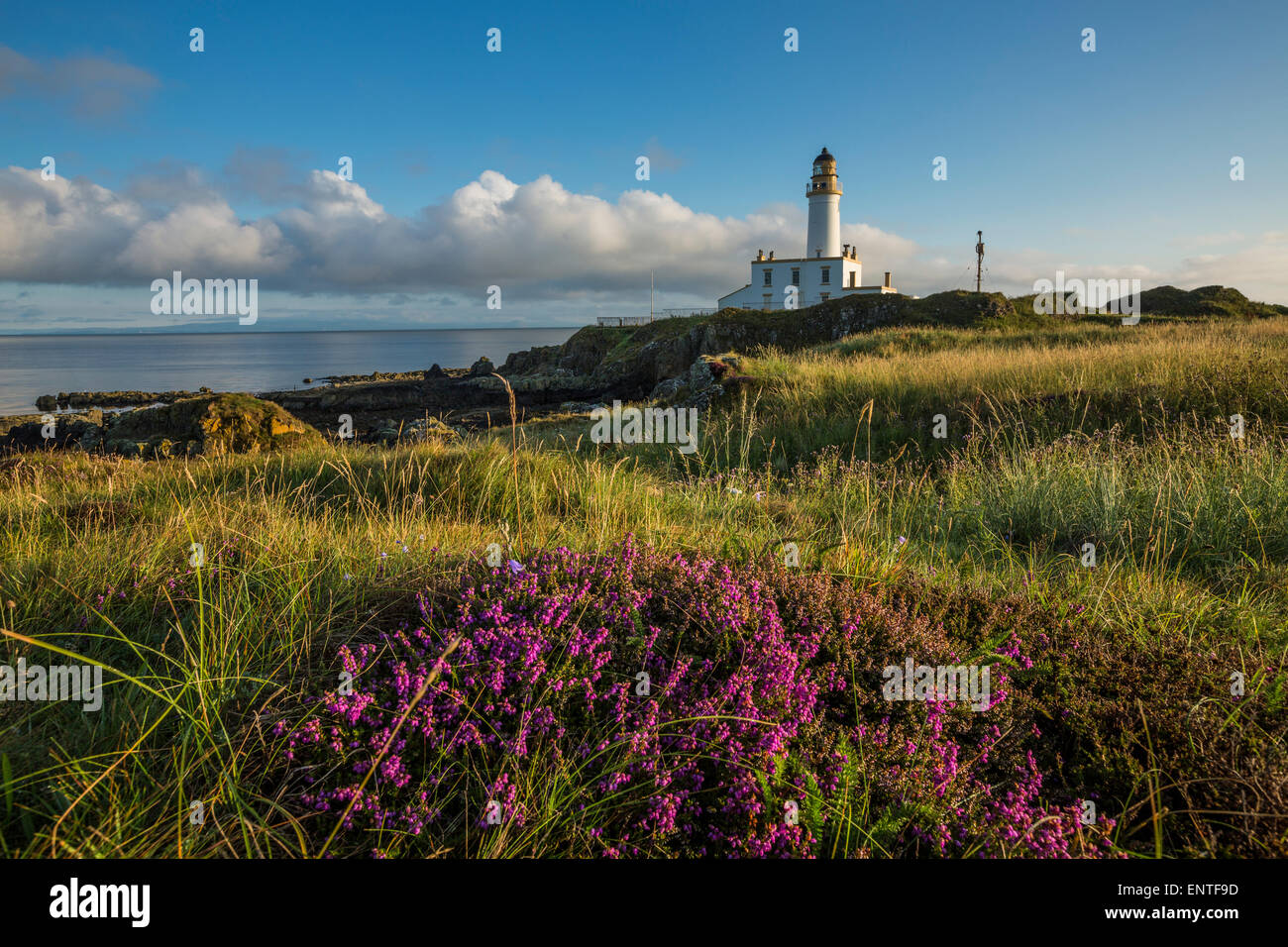 Vista di Turnberry faro sulla costa dell'Ayrshire, in Scozia, Regno Unito Foto Stock