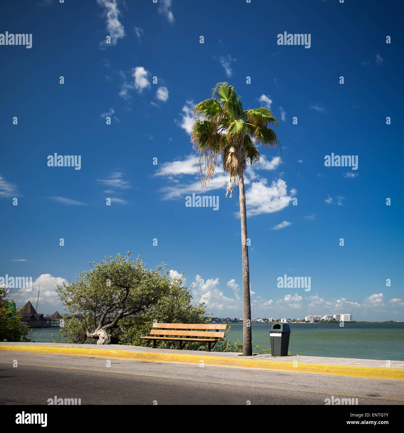 Caraibi strada con Palm tree Foto Stock