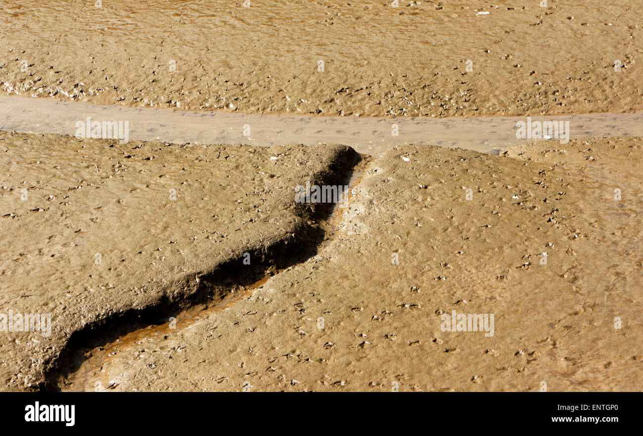 Canali naturali sotto forma di una lettera T. Foto Stock