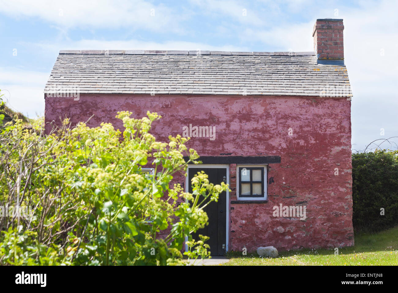 Cottage rosso al Parrog all'estremità meridionale di Newport Beach, Pembrokeshire Coast National Park, Galles UK nel mese di maggio Foto Stock