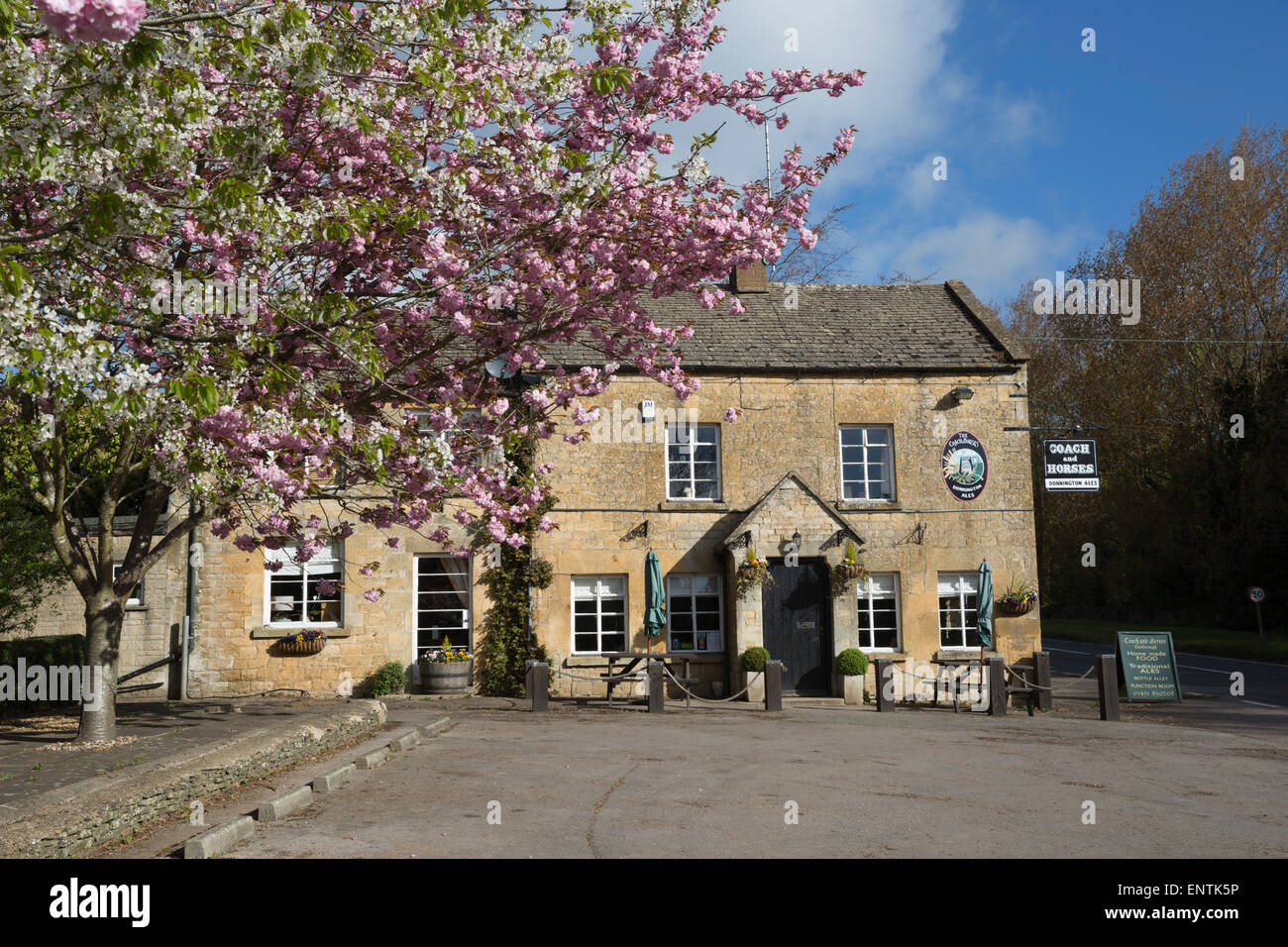 Pullman e cavalli pub stradale con fiore rosa, Ganborough, Cotswolds, Gloucestershire, England, Regno Unito, Europa Foto Stock