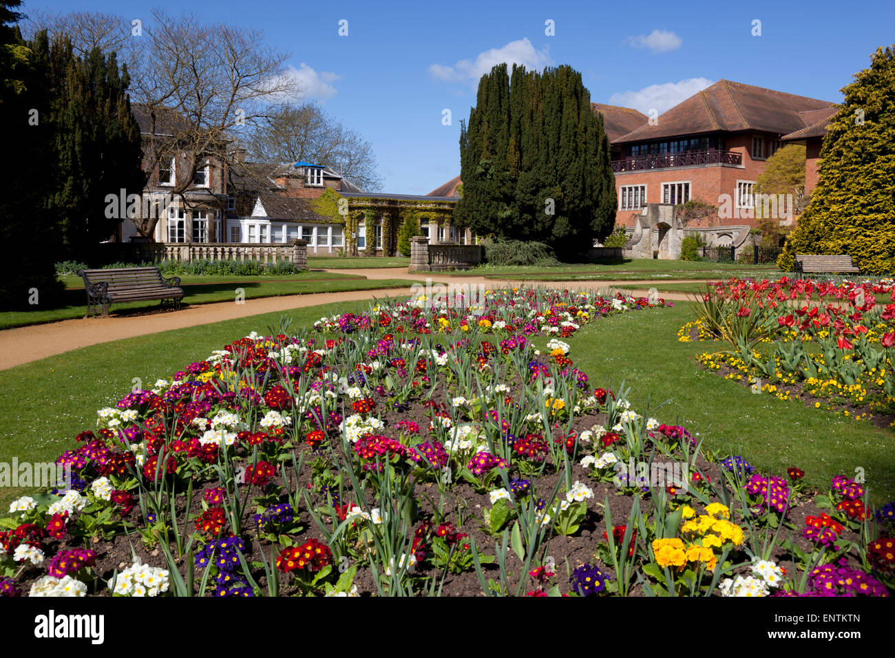 Abbey Gardens, Abingdon-on-Thames, Oxfordshire, England, Regno Unito, Europa Foto Stock