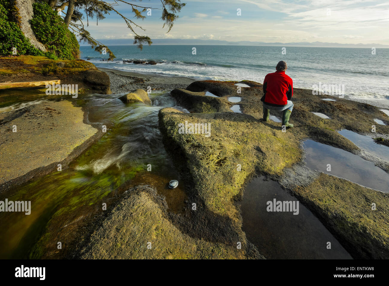 L'uomo affacciato sulla spiaggia Sandcut -Fiume Giordano, British Columbia, Canada. Foto Stock