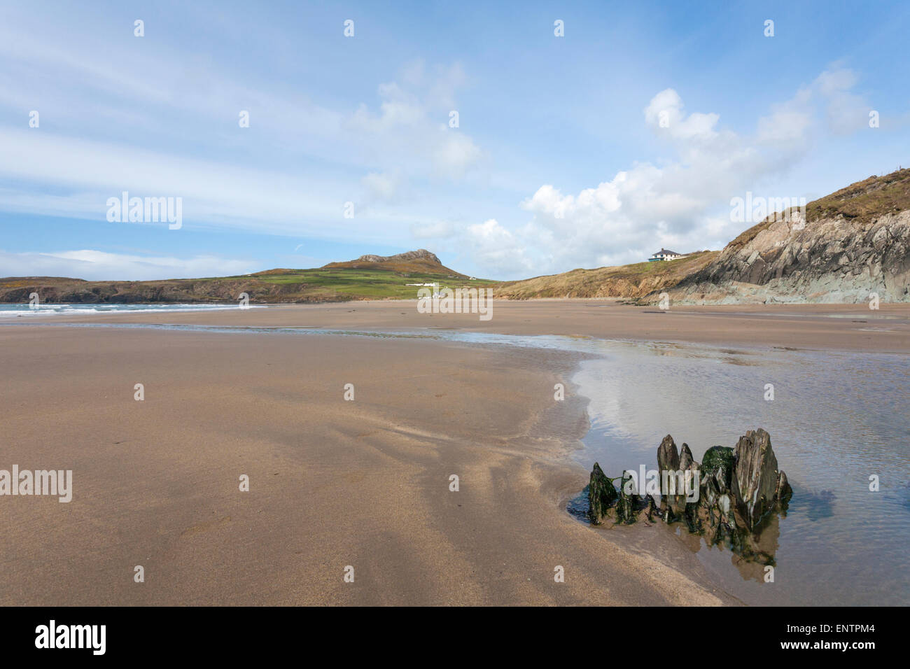 Paesaggi drammatici di spiaggia e costa e Carn Llidi a Whitesands Bay, Pembrokeshire Coast National Park, Galles UK nel mese di maggio Foto Stock