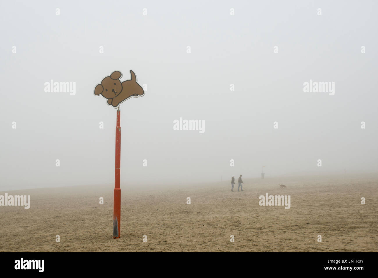 Un cane è consentito firmare sulla spiaggia è visto nella nebbia sulla costa dei Paesi Bassi. Foto Stock