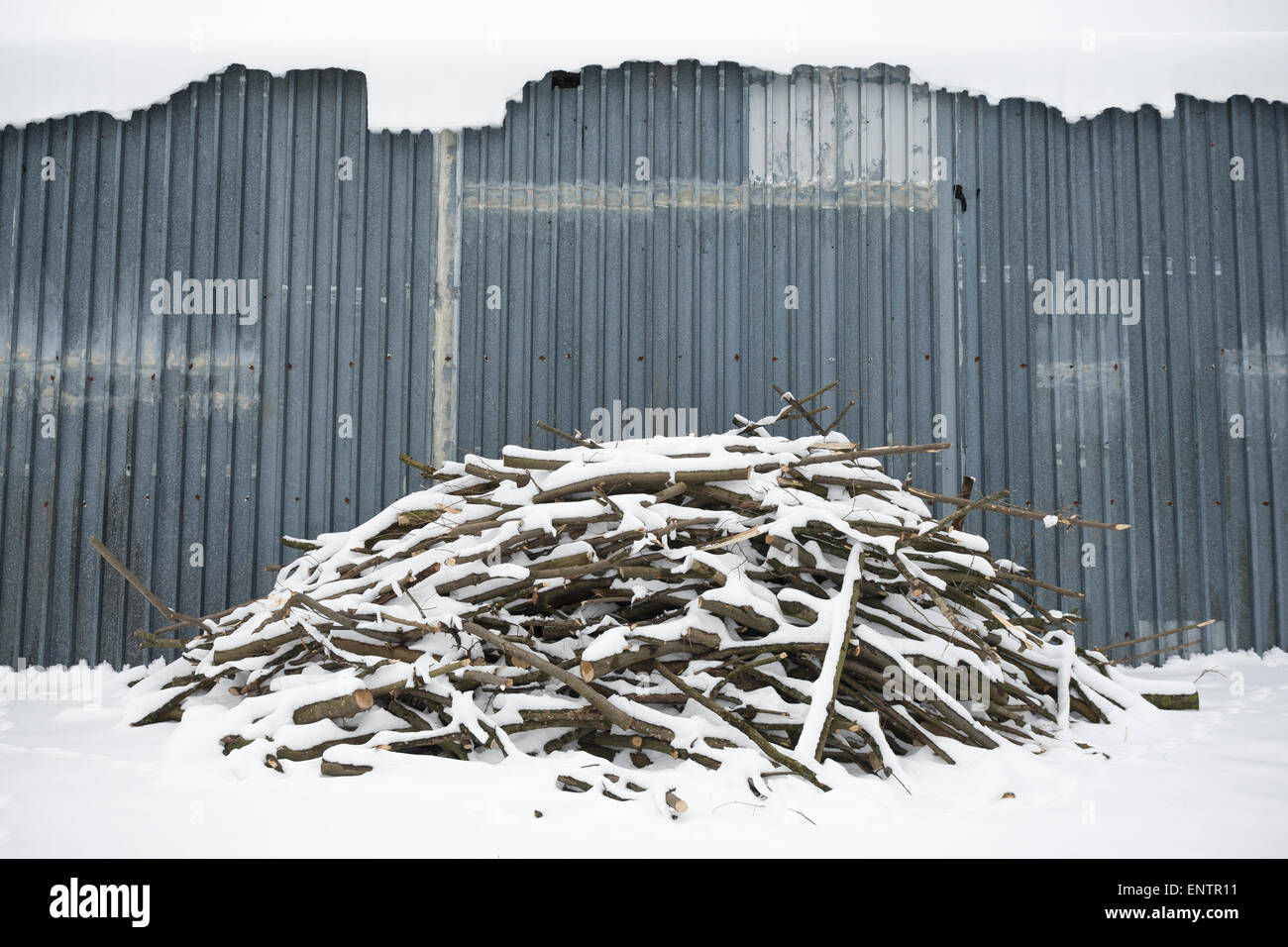 Legna da ardere coperto di neve è accumulata al di fuori di un capannone in una fattoria vicino a Kobylnica, Polonia. Foto Stock