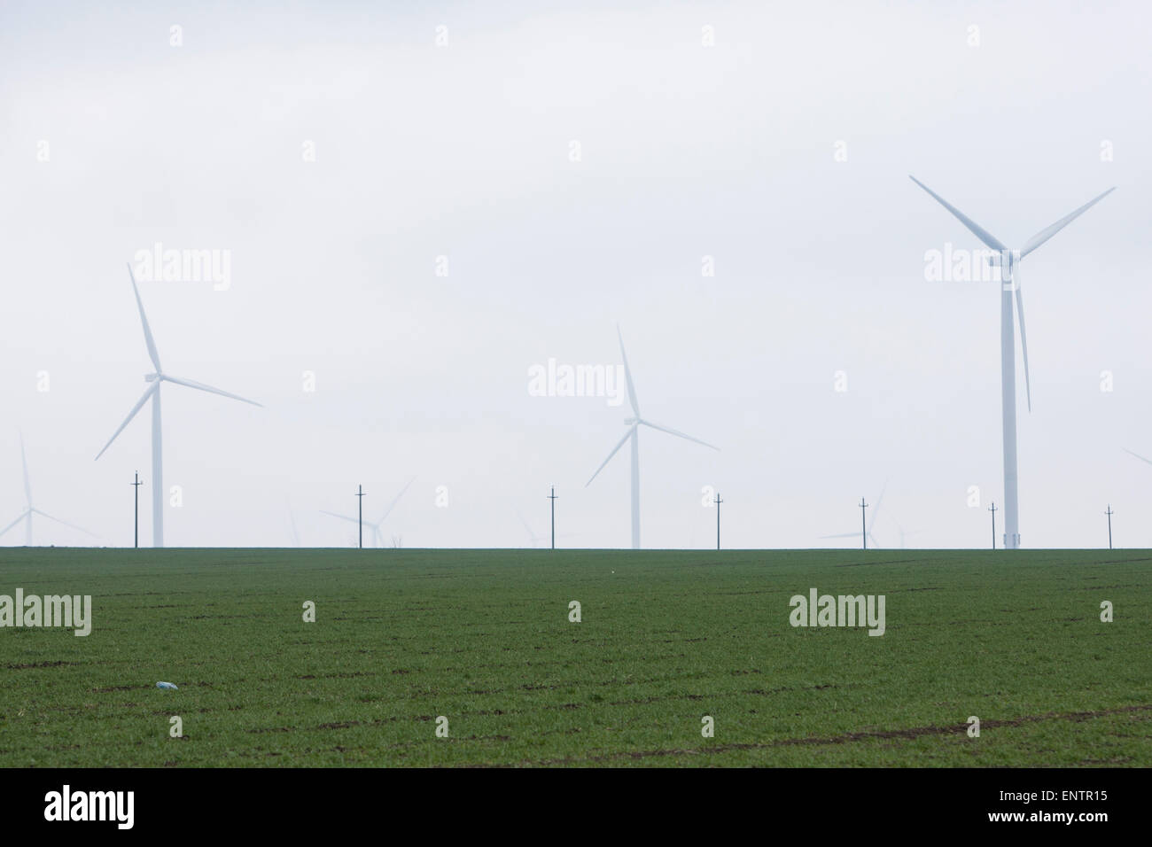 Un campo verde e le turbine eoliche in Europa la più grande fattoria eolica, Fântânele-Cogealac in Constanta County in Romania. Foto Stock