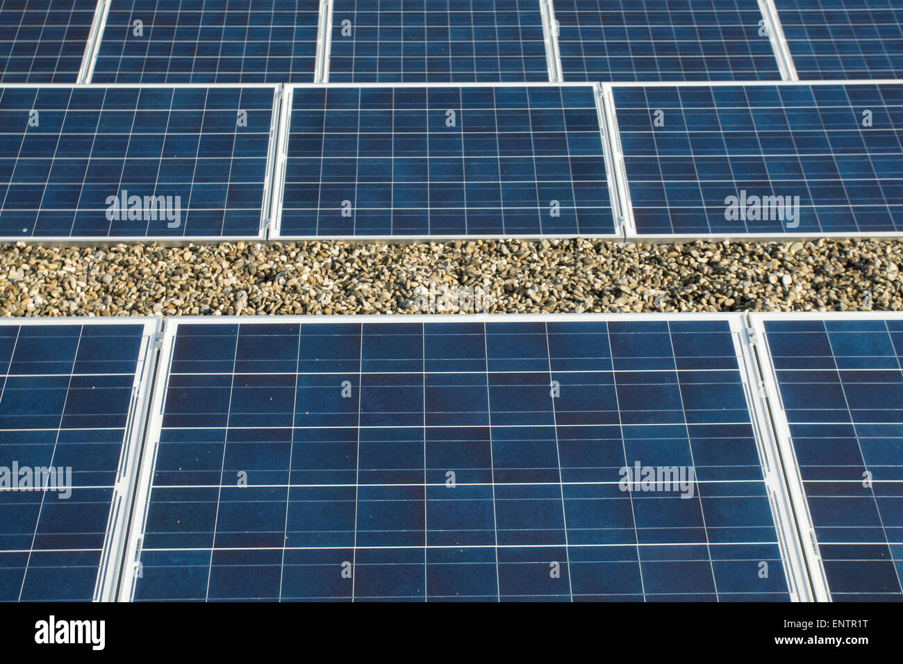 Pannelli solari sul tetto di una scuola nella città di Zwolle, Paesi Bassi. Foto Stock