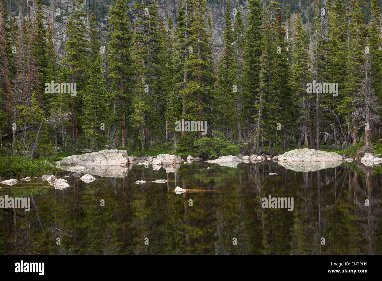 Massi e conifere sulla riva del lago di Scoiattolo striado, Rocky Mountain National Park, Colorado. Foto Stock