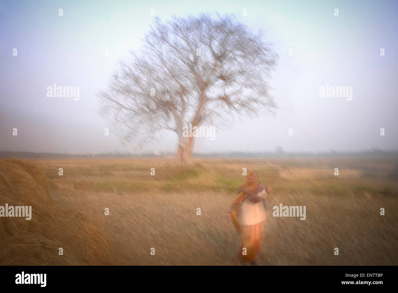 Lumbini, Nepal - il luogo del Buddha la nascita. Foto Stock