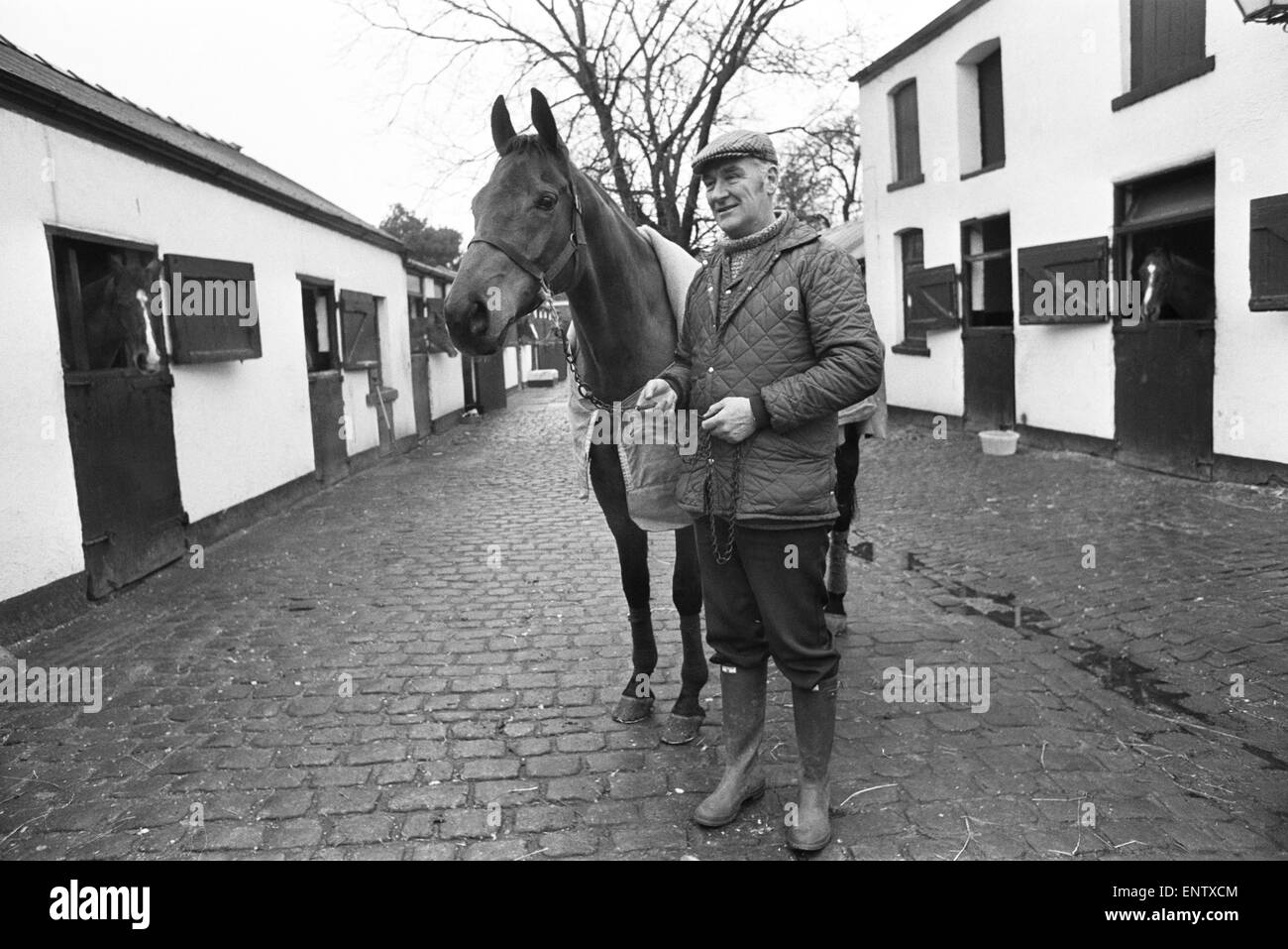 Donald "Ginger' McCain, il trainer di tre volte gran vincitore nazionale Red Rum, raffigurato con il famoso cavallo da corsa a loro stalle in Birkdale, Southport nel Merseyside. Il 13 gennaio 1978. Foto Stock