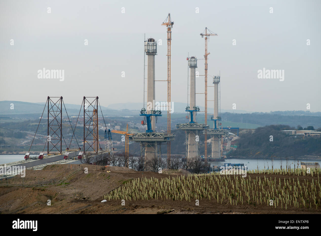 La Queensferry attraversando in costruzione sul Firth of Forth è un nuovo ponte in Scozia a causa di essere completata nel 2016 Foto Stock