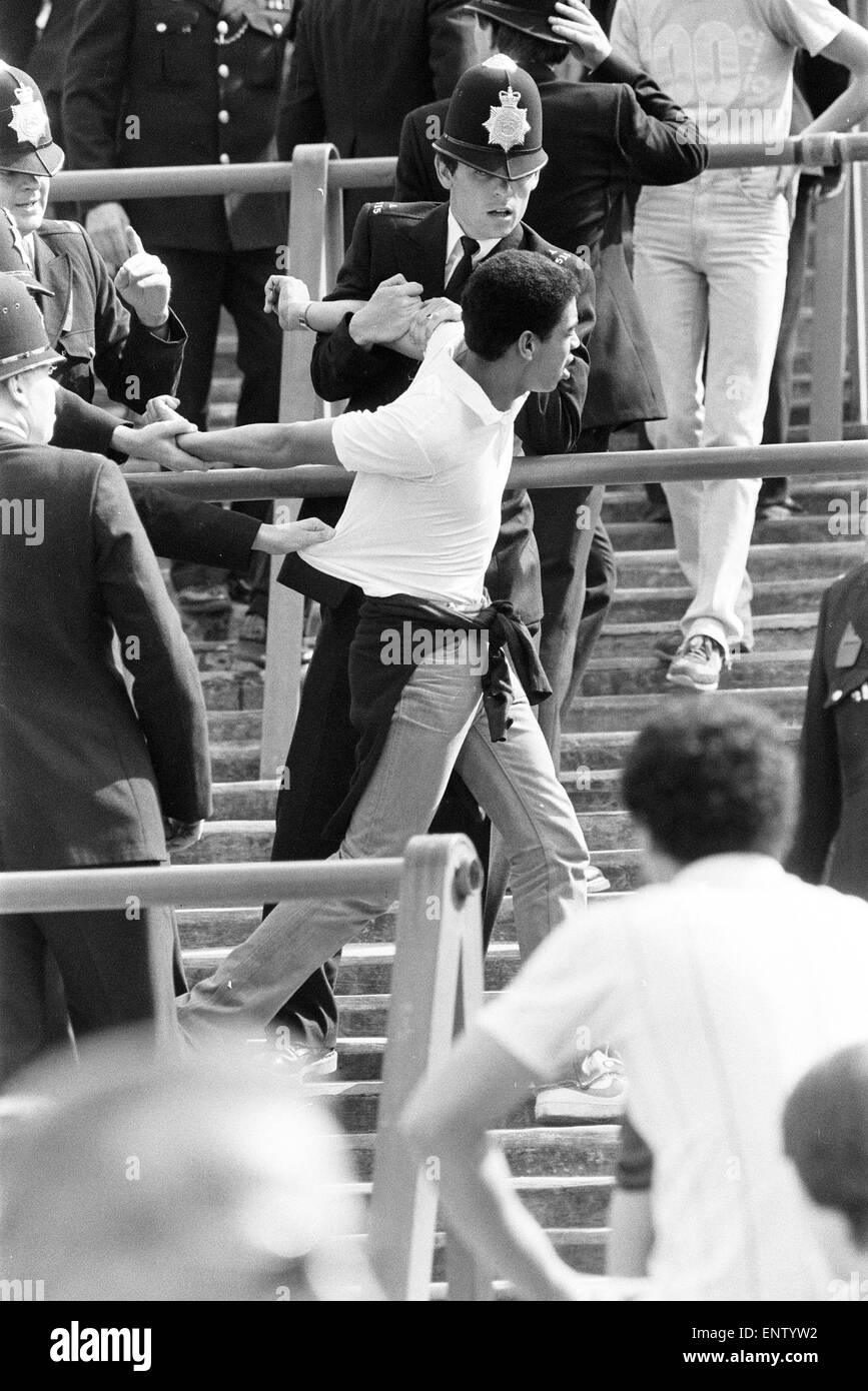 La violenza della folla durante l'Arsenal v Liverpool league a Highbury, sabato 4 settembre 1982. Nella foto: Sostenitori sotto arresto. Punteggio finale: Arsenal 0-2 Liverpool Foto Stock