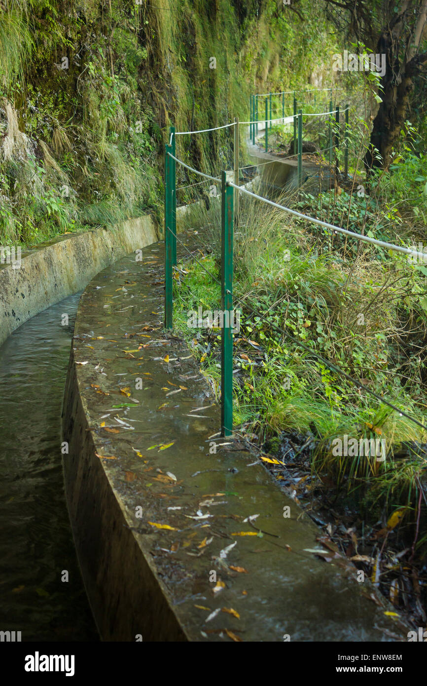 Levada canale irrigatorio e il sentiero di Levada Nova, a Ponta do Sol, di Madera. Laurisilva subtropicale foresta di pioggia. Foto Stock