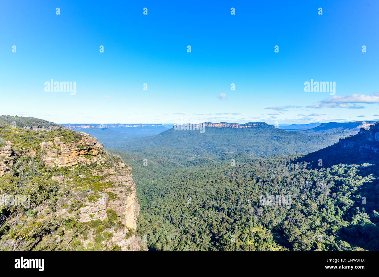 Blue Mountains, Nuovo Galles del Sud, Australia Foto Stock