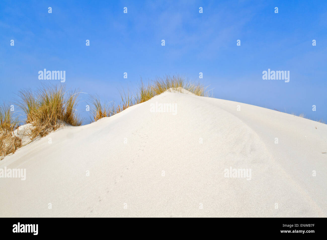 Dune e beachgrass Foto Stock Dune e beachgrass Foto Stock