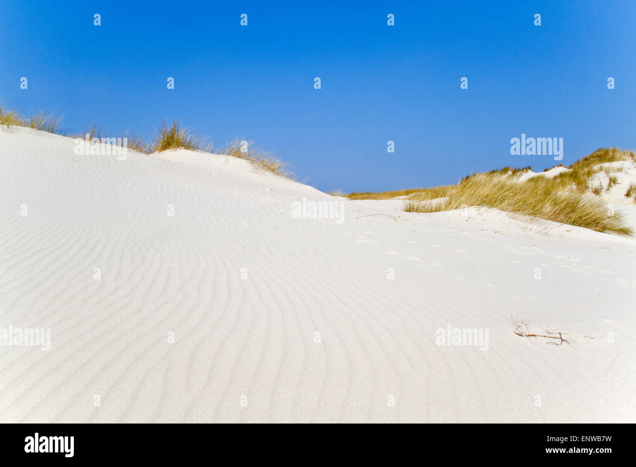 Increspature nella sabbia di una duna Foto Stock Increspature nella sabbia di una duna Foto Stock