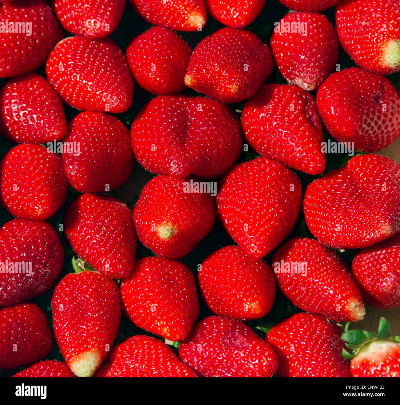 Foto di un mazzetto di fragole fresche. Foto Stock