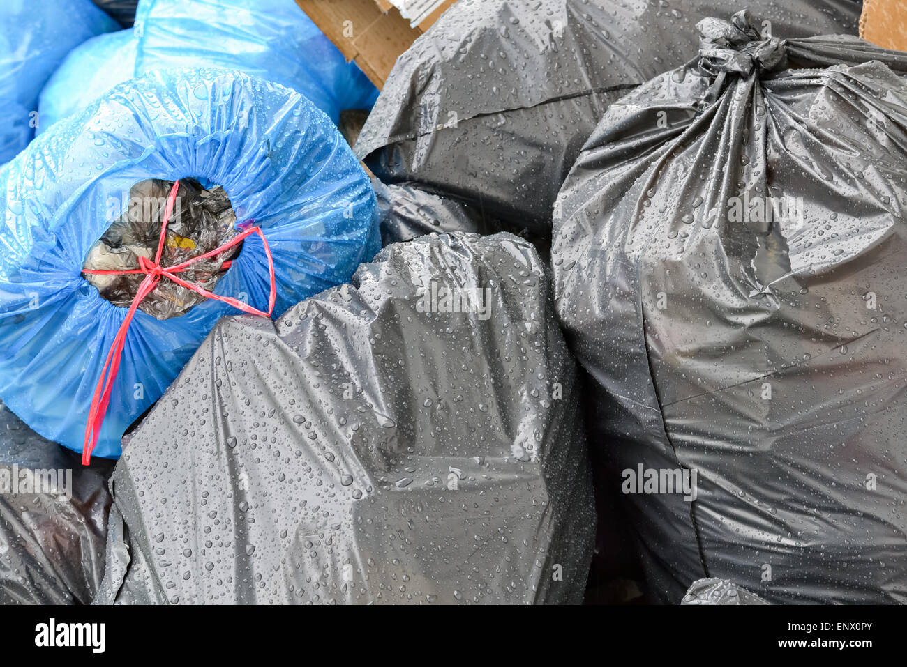 Pila di nero e blu immondizia di plastica sacchi pieni di spazzatura Foto Stock