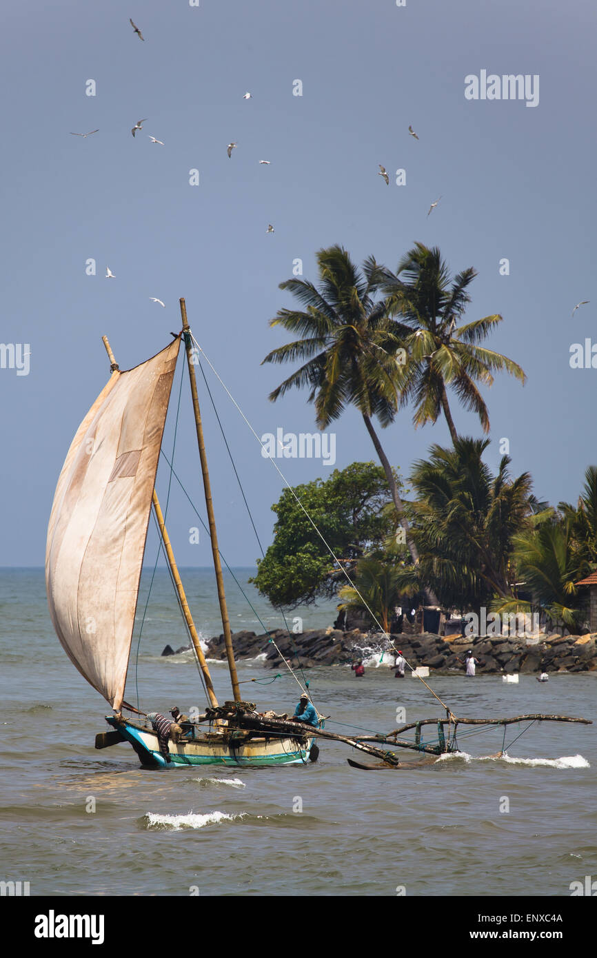 Barca a Vela - Negombo, Sri Lanka Foto Stock