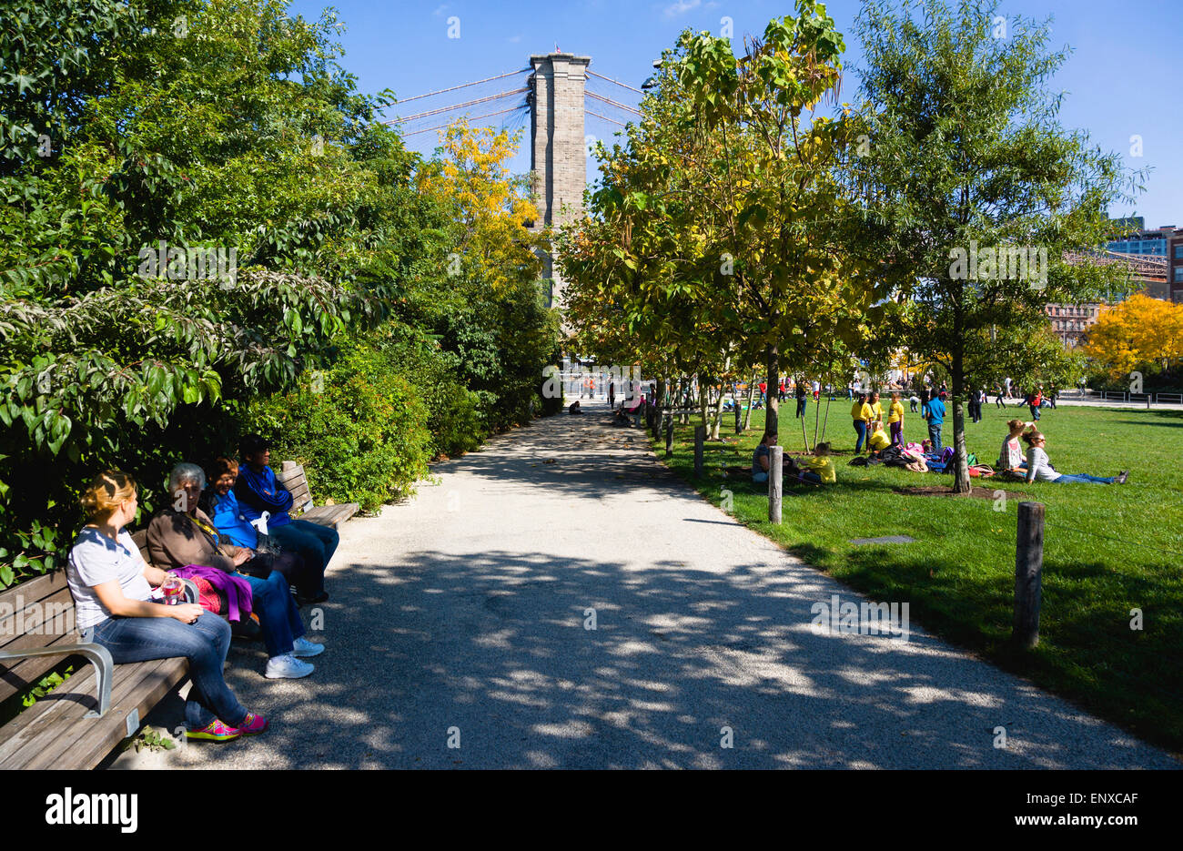 Stati Uniti d'America, nello Stato di New York, New York City, NYC, Ponte di Brooklyn Park, la gente sull'erba di Harbour View i prati di Pier 1 al di sotto del ponte di sospensione in autunno. Foto Stock