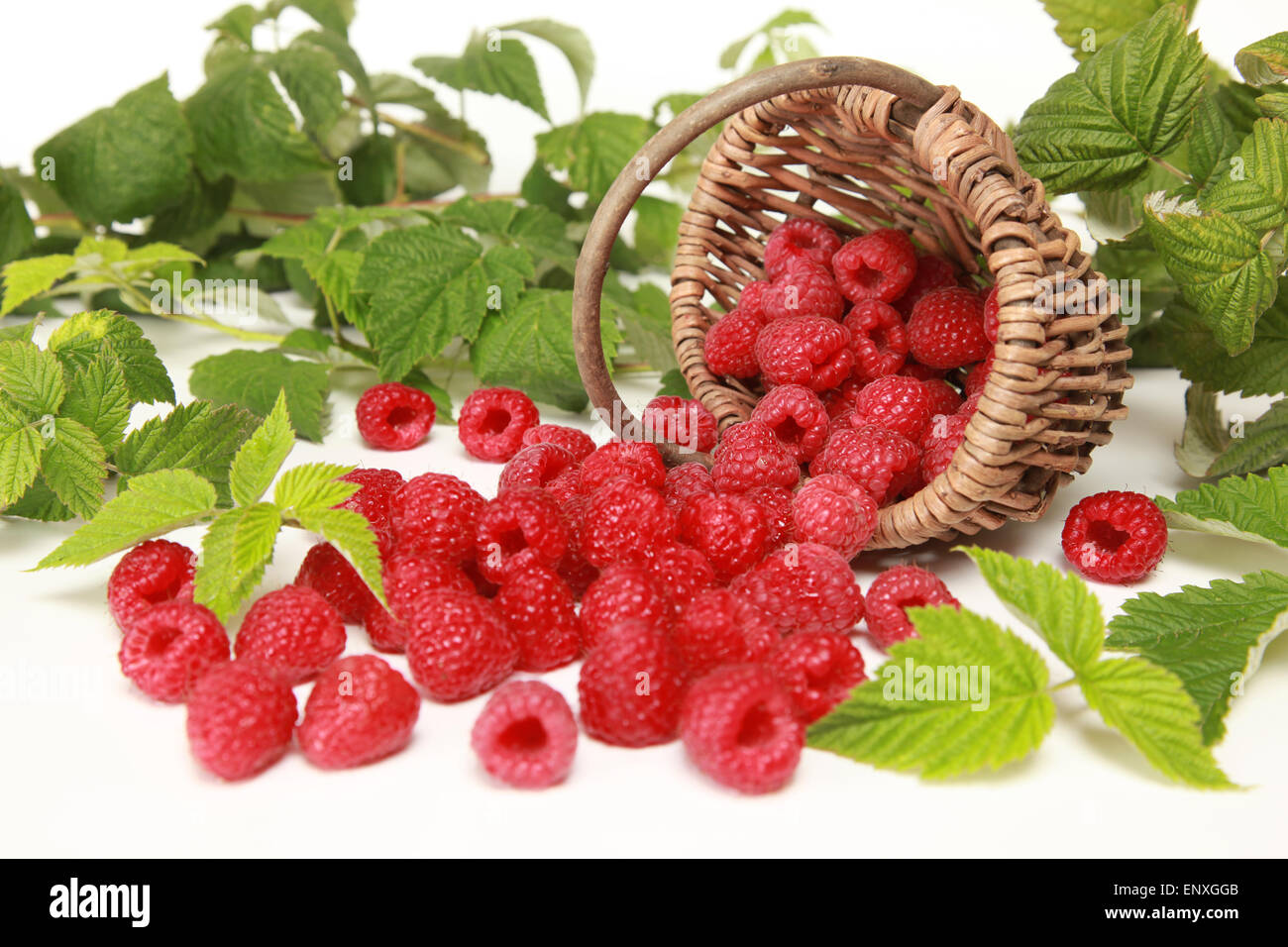 Frische Himbeeren Foto Stock