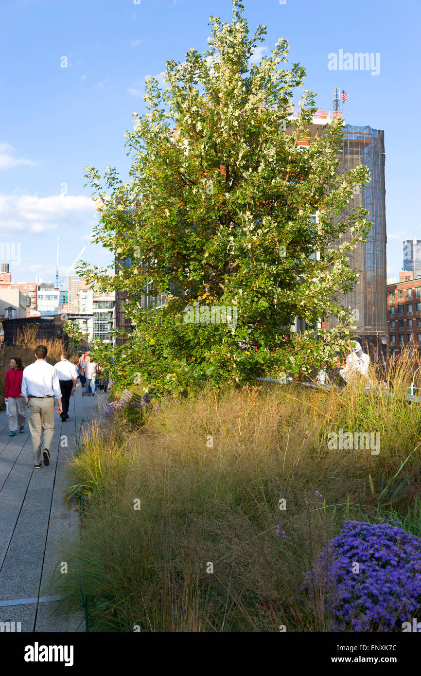 Stati Uniti d'America, New York Manhattan, gente che cammina su un percorso attraverso le piante sulla linea alta un parco lineare su un disuso ferrovia sopraelevata sperone chiamato lato ovest linea. Foto Stock