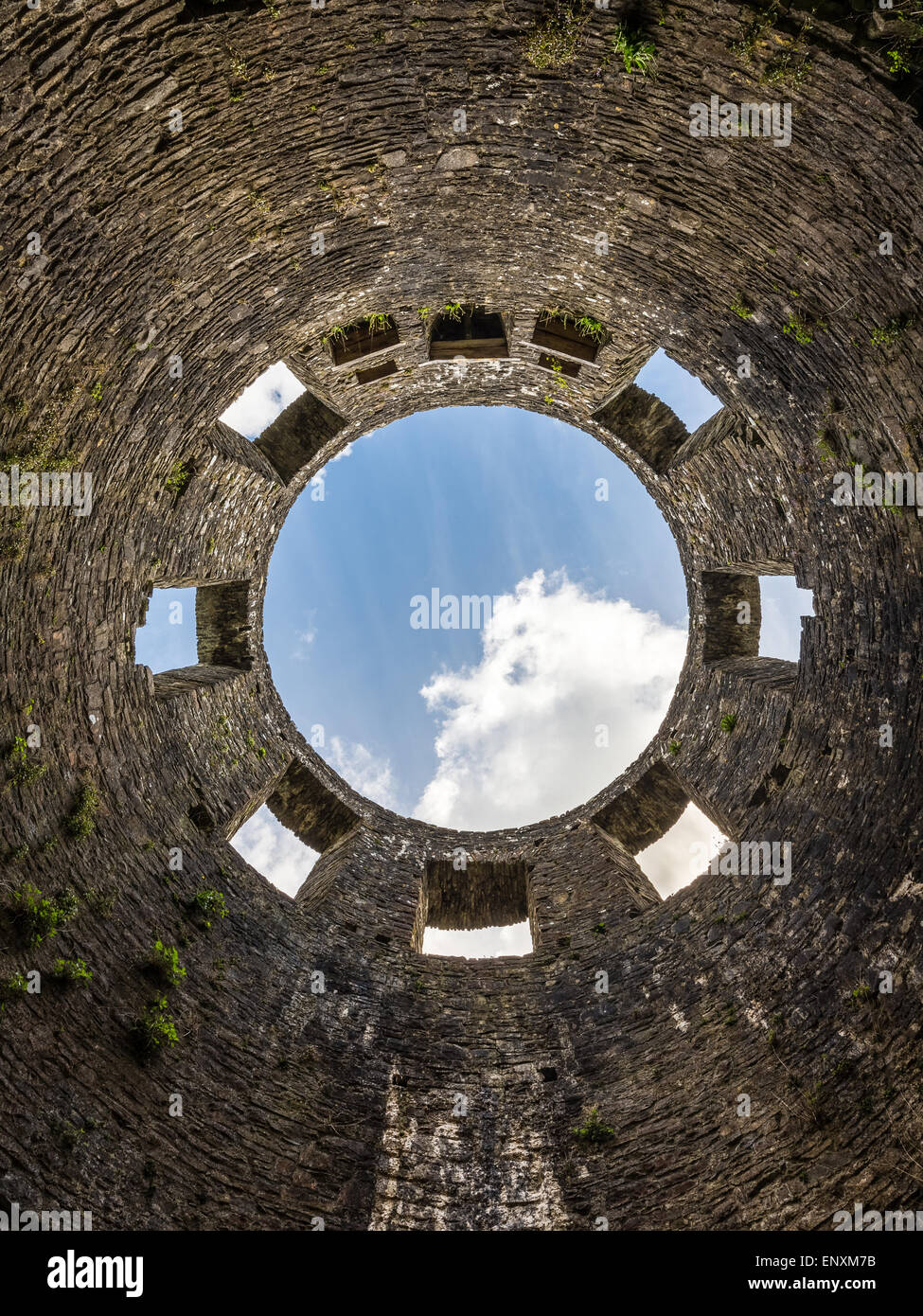 Dinefwr Castle in Llandeilo, Carmarthenshire, Galles - la vista direttamente verso l'alto nella torre Foto Stock