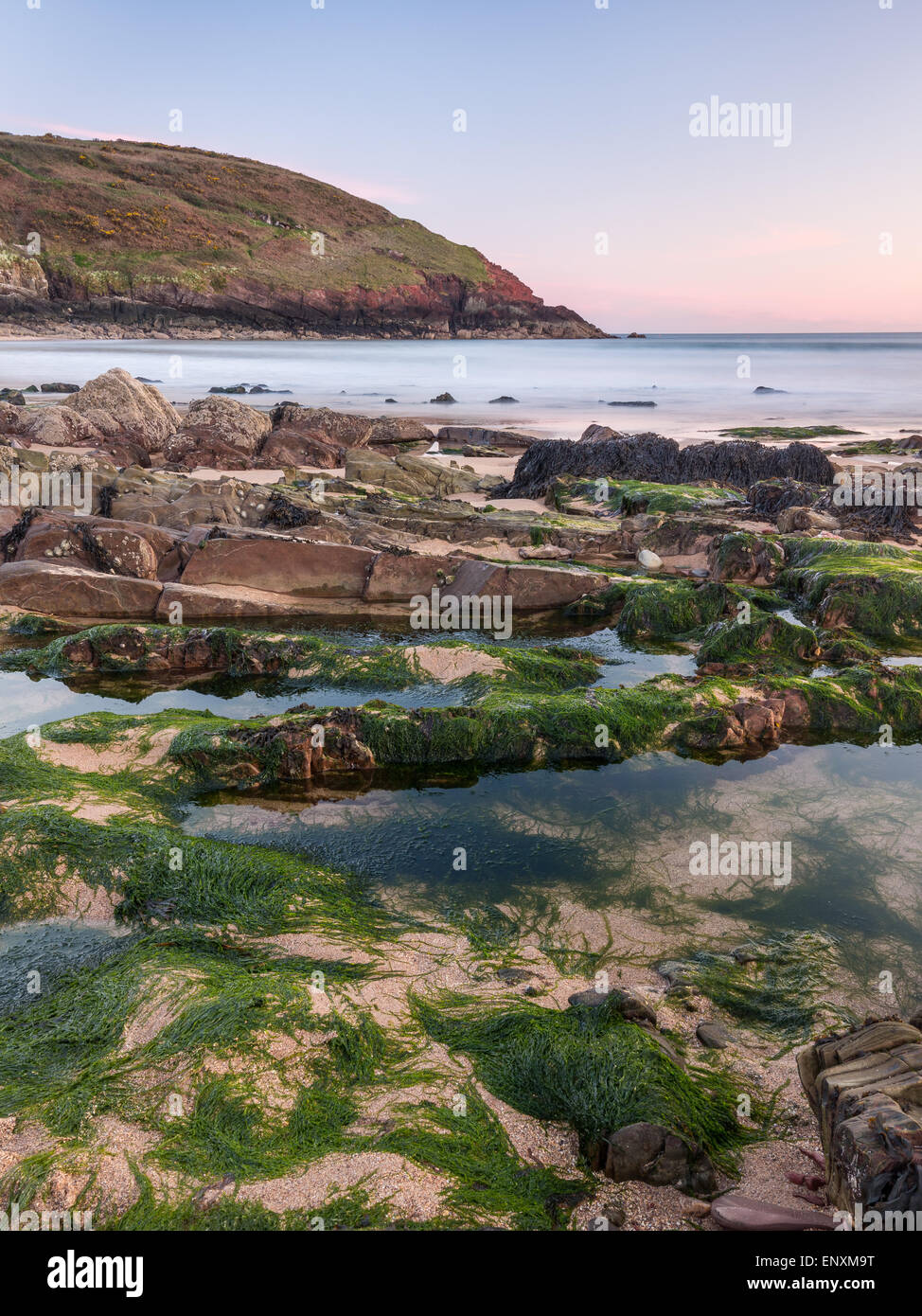 Manorbier Beach in Pembrokeshire, Galles - piscine di roccia e di alghe su un rosato di sera al tramonto Foto Stock
