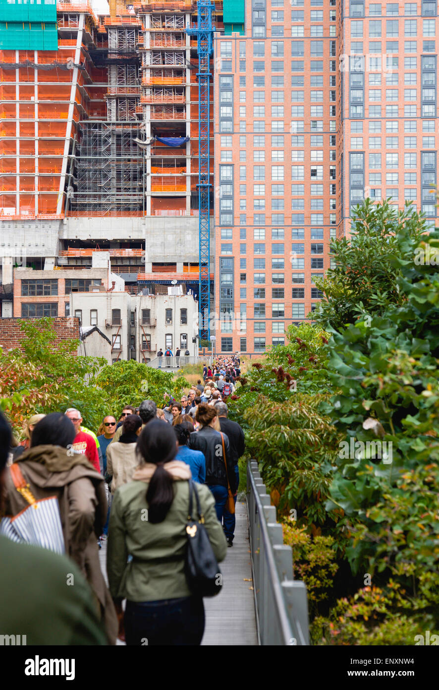 Stati Uniti d'America, New York Manhattan, gente che cammina verso il campo di fiori selvaggi sulla linea alta parco lineare su un disuso ferrovia sopraelevata sperone chiamato lato ovest linea che corre tra edifici alti in Midtown. Foto Stock