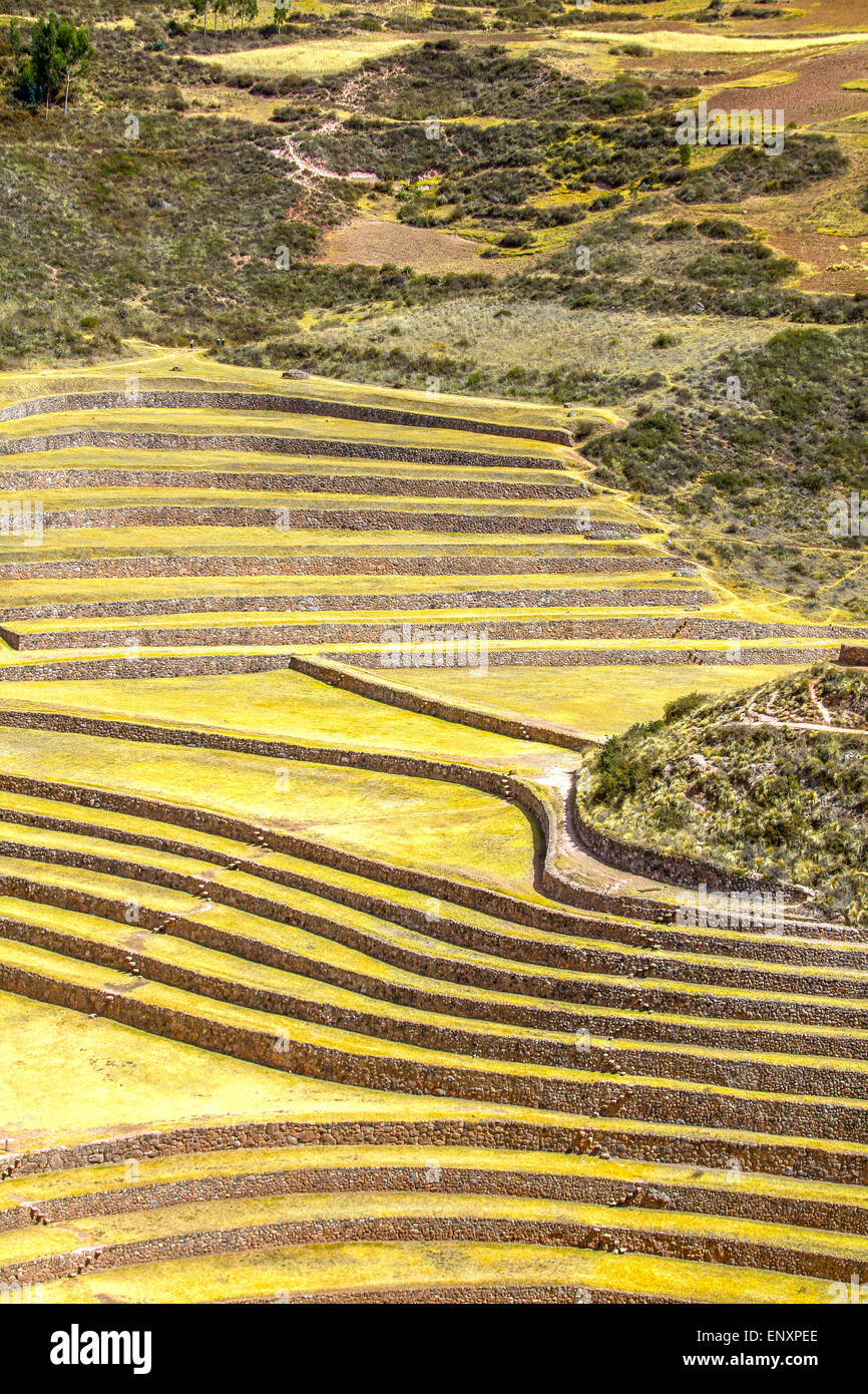Inca antiche terrazze circolari di Moray (Stazione di Esperimento Agricola), Perù Foto Stock