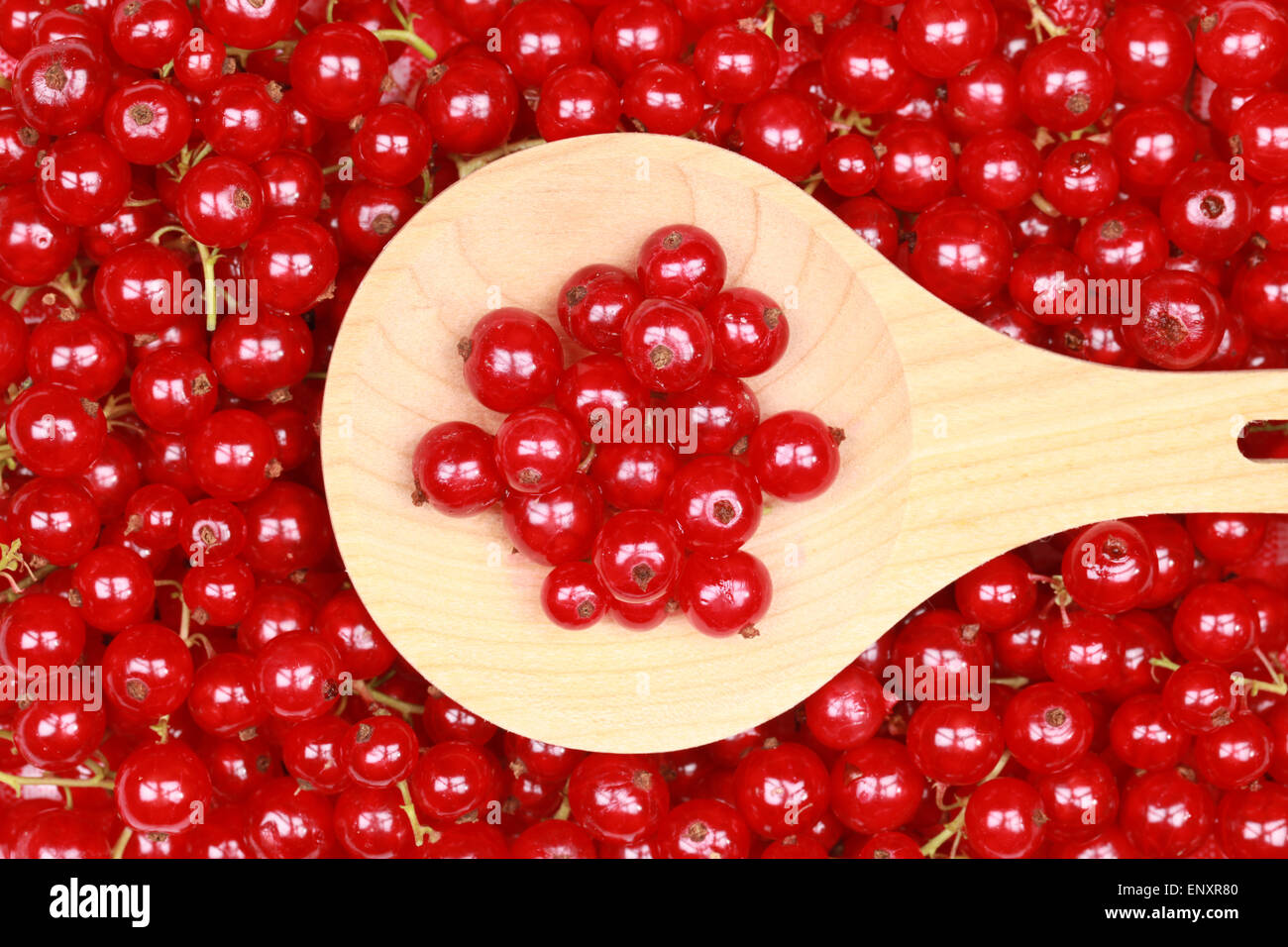 Frisch gepflückte rote Johannisbeeren Foto Stock