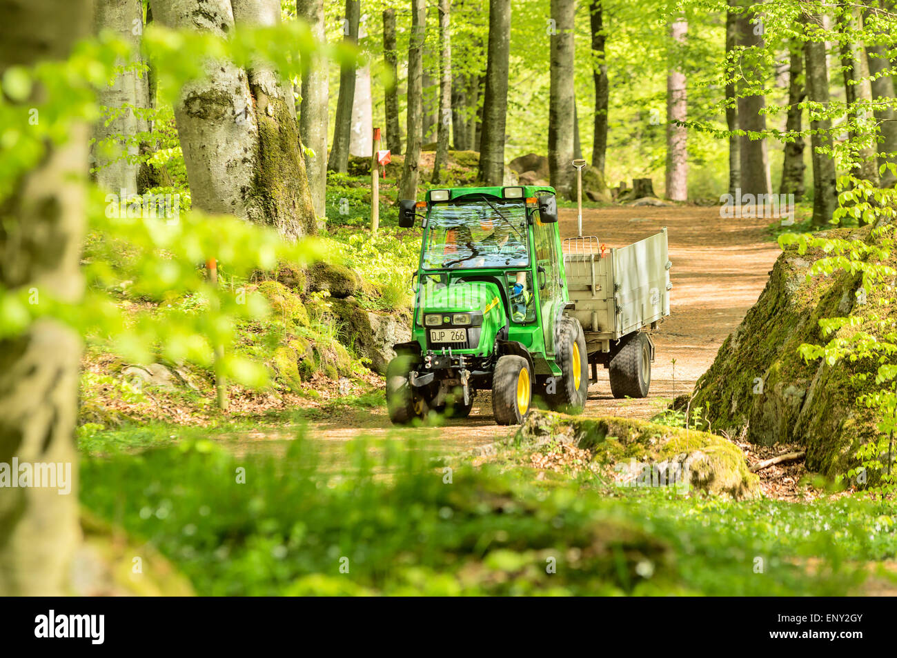 Ronneby, Svezia - 11 Maggio 2015: piccolo John Deere trattori utilitari compatti 2520 utilizzato nella foresta sul sentiero stretto. Qui si vede con un rimorchio nella faggeta circostante. Foto Stock