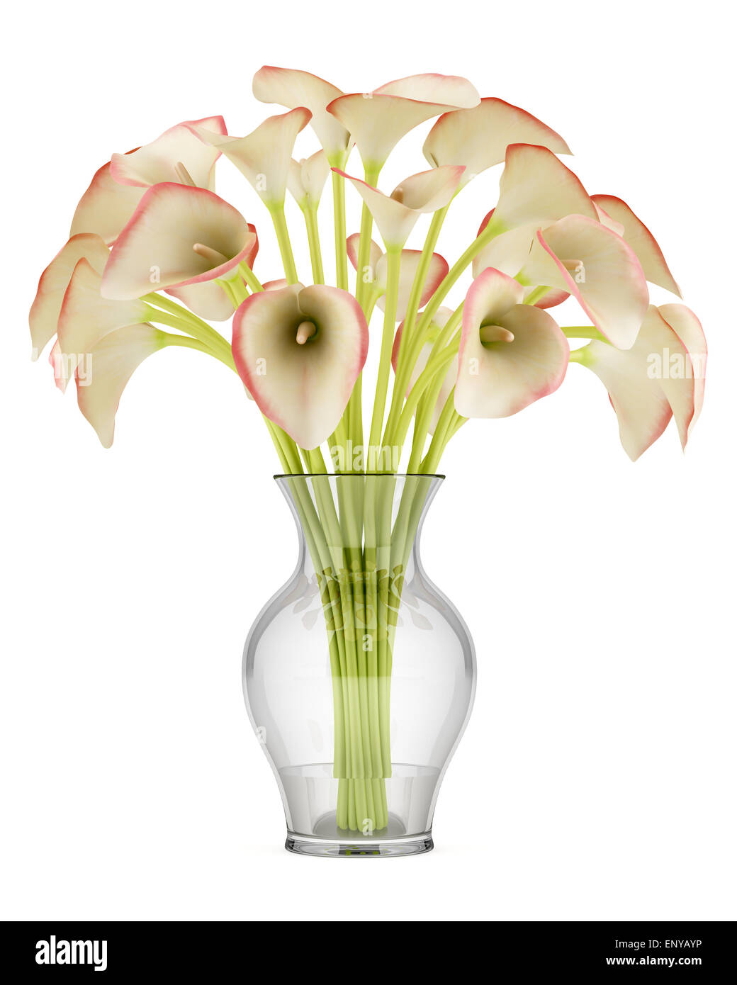 Bouquet di calla lilies in vaso di vetro isolato Foto Stock