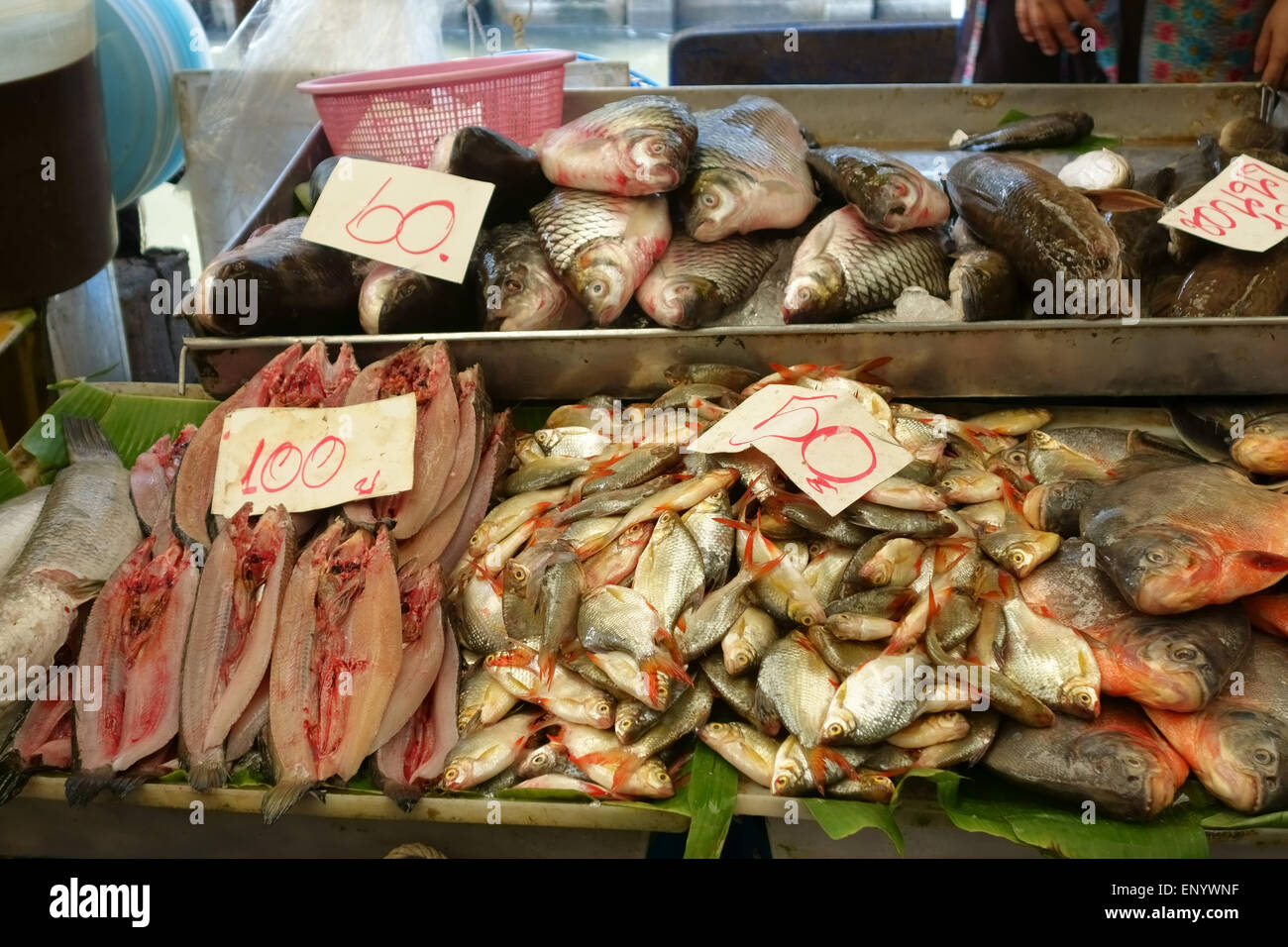 Pesce fresco steso su una fase di stallo in un cibo tailandese mercato, Bangkok, Thailandia Foto Stock